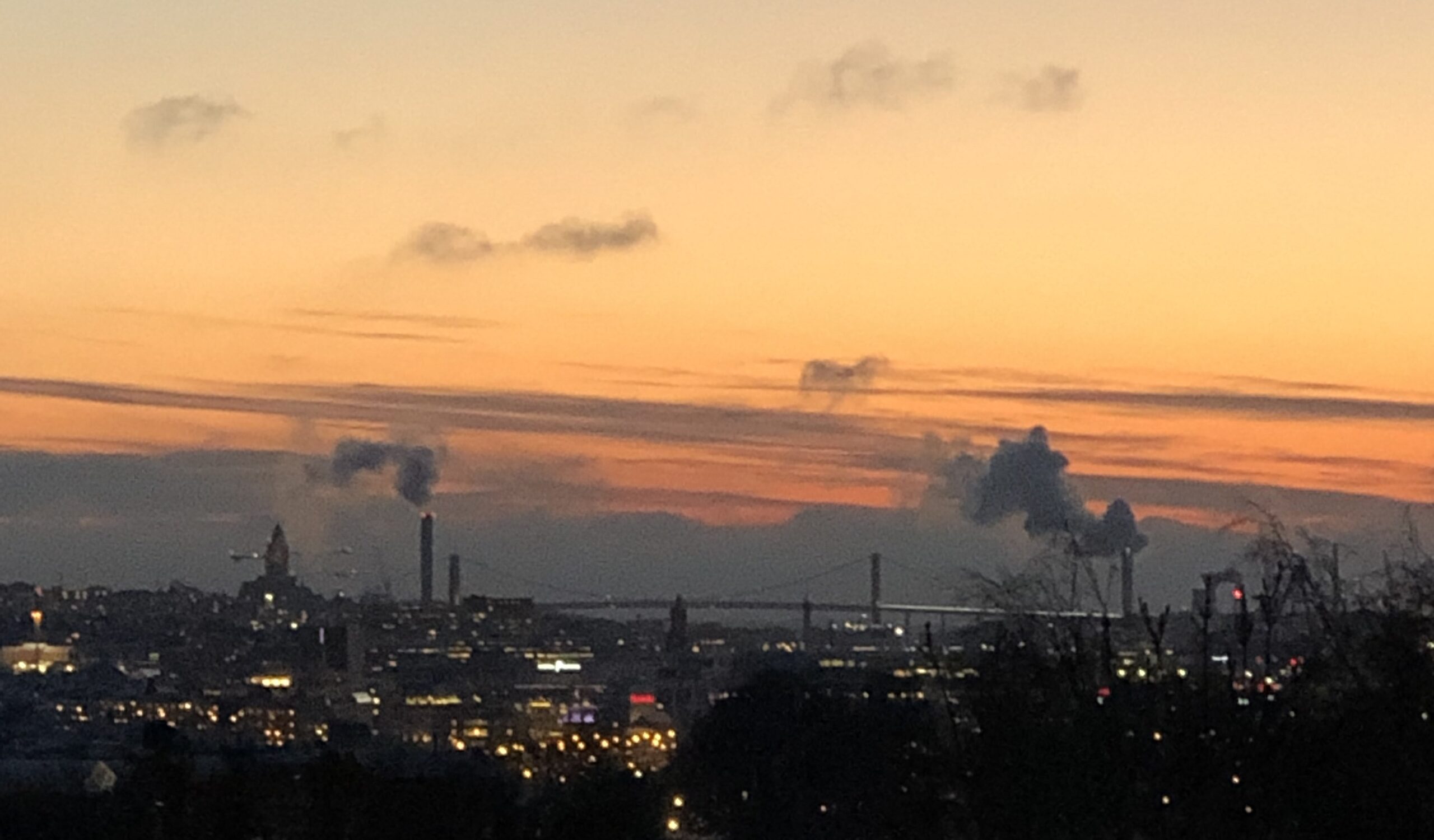 Read more about the article The Uniqueness of Each Individual