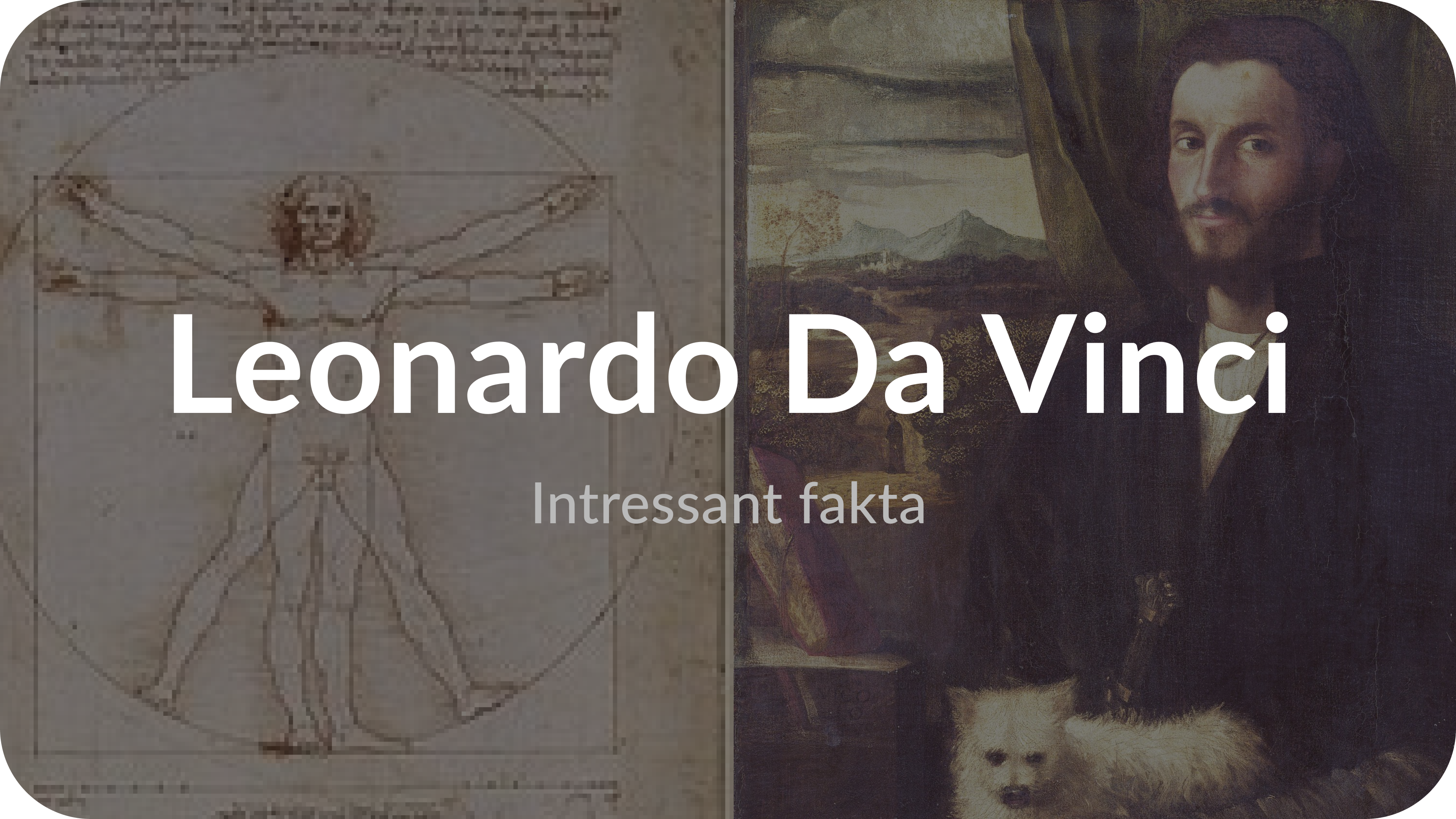 Läs mer om artikeln Leonardo Da Vinci: Intressant Fakta