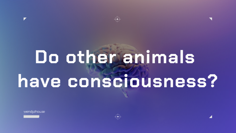 Do other animals have consciousness