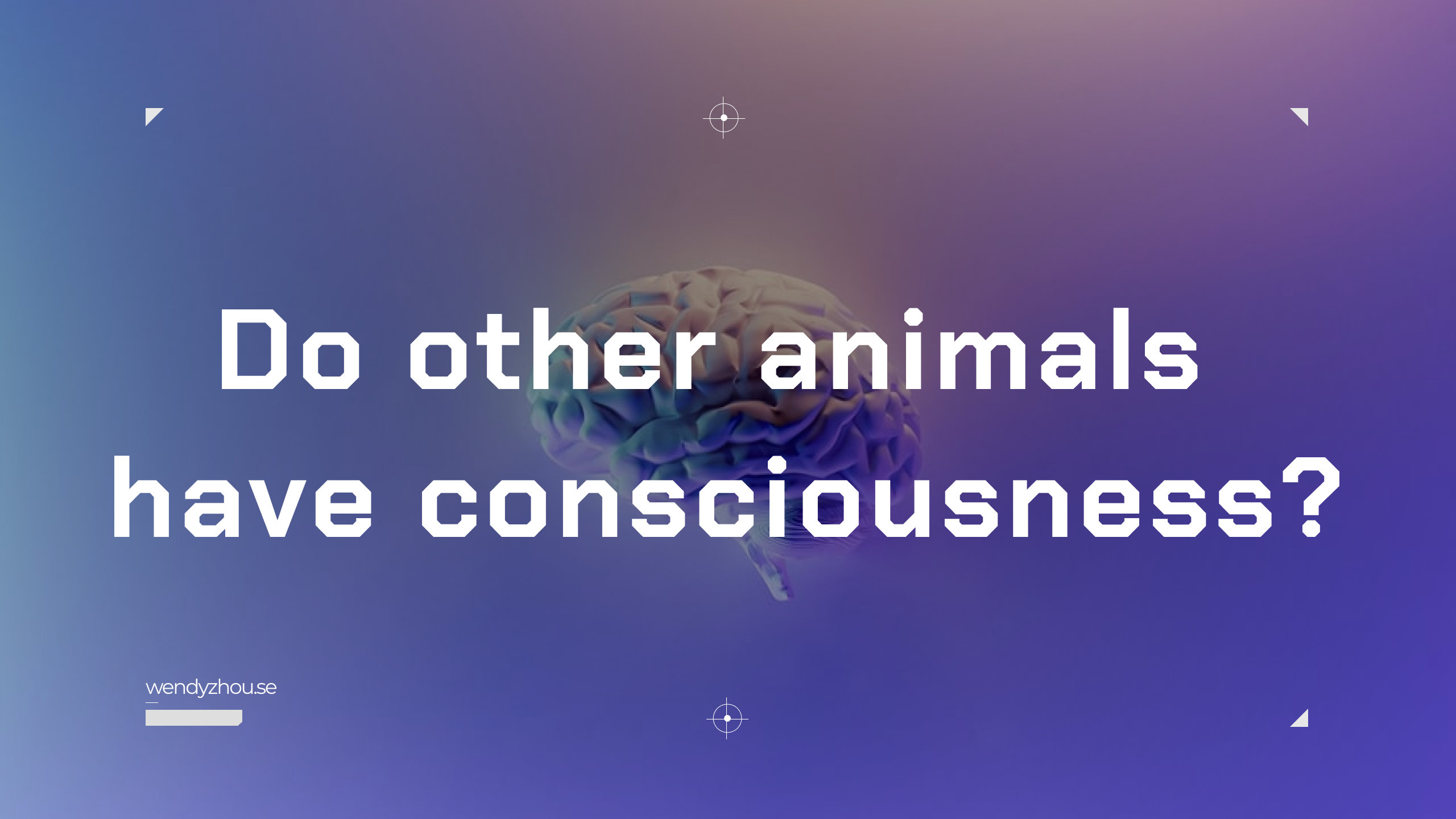 Do other animals have consciousness