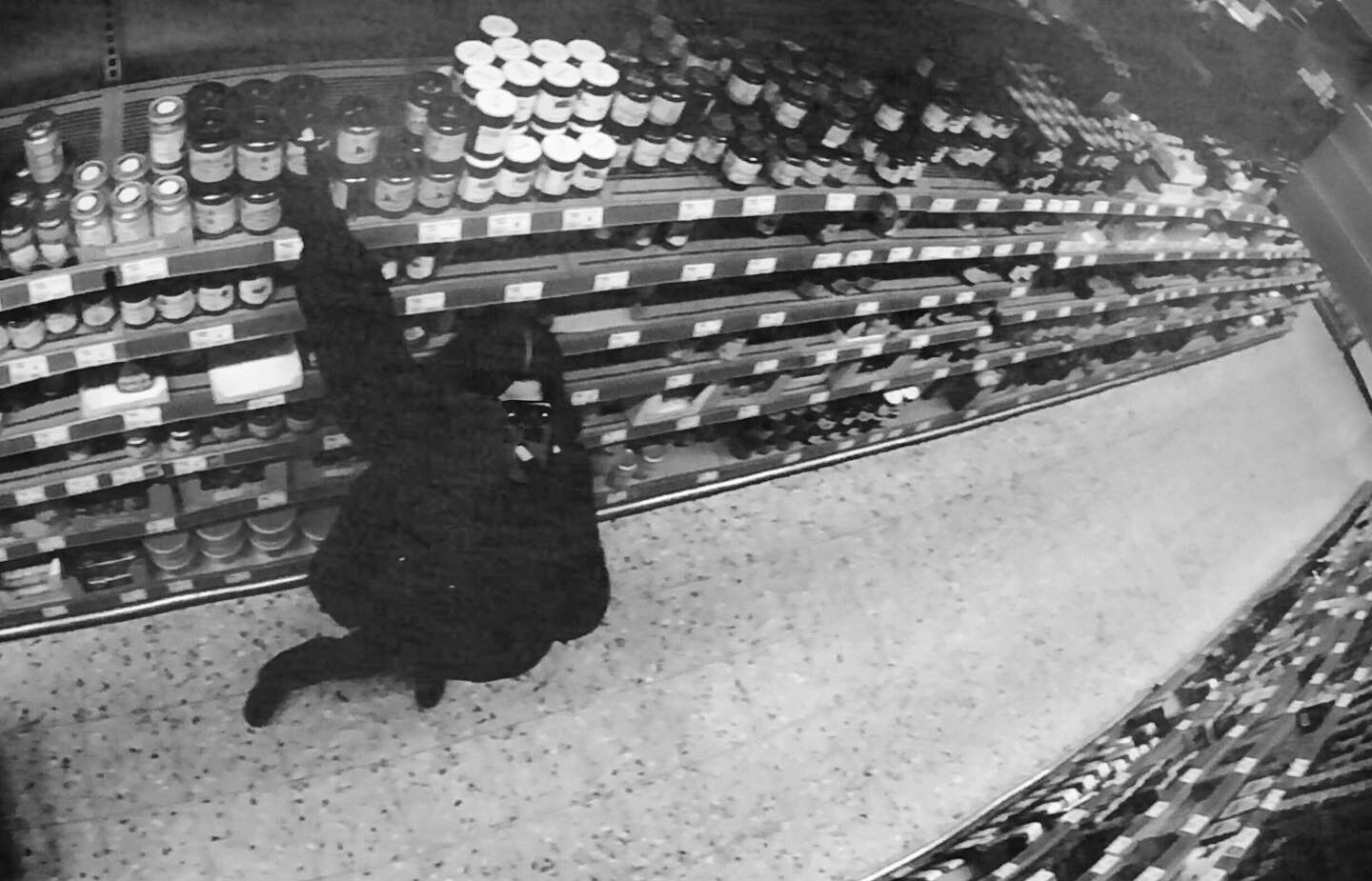 Read more about the article Fisheye Perspective: A cool & trending photography effect